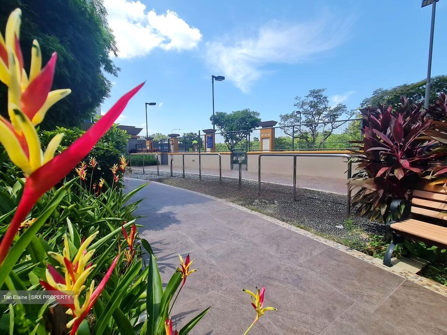 Evergreen Park (D19), Apartment #464234641